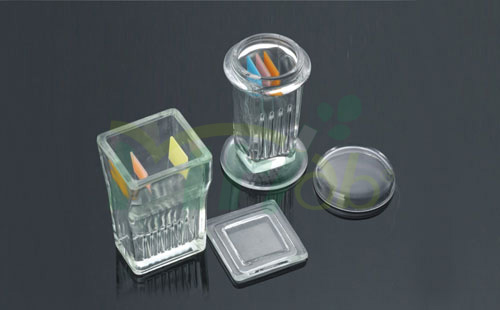 Slides Staining Jar
