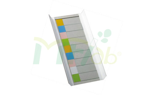 Slides Trays