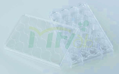 Microplates