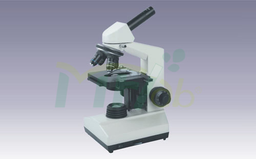 Microscope